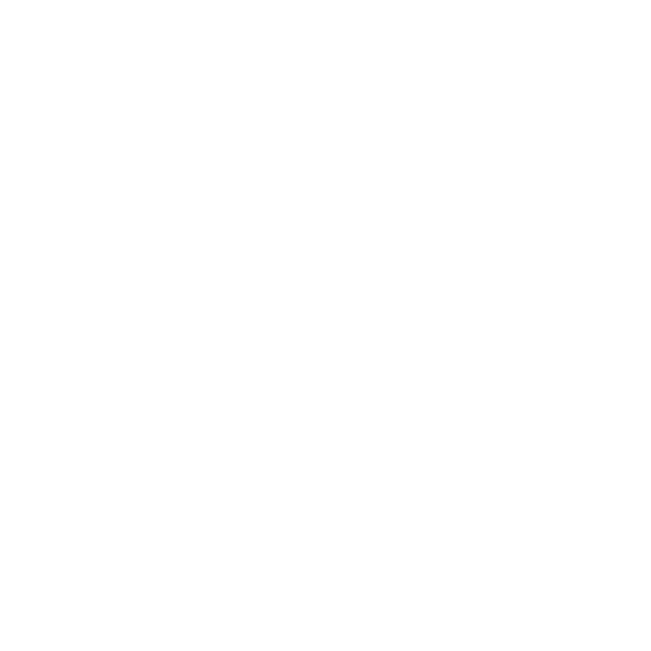 Bifang Studio