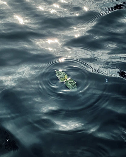 Water-Relief·Relaxation